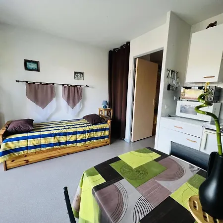 Appartement Studio Cambo-les-bains, 1 Pièce, 3 Personnes - Fr-1-495-64